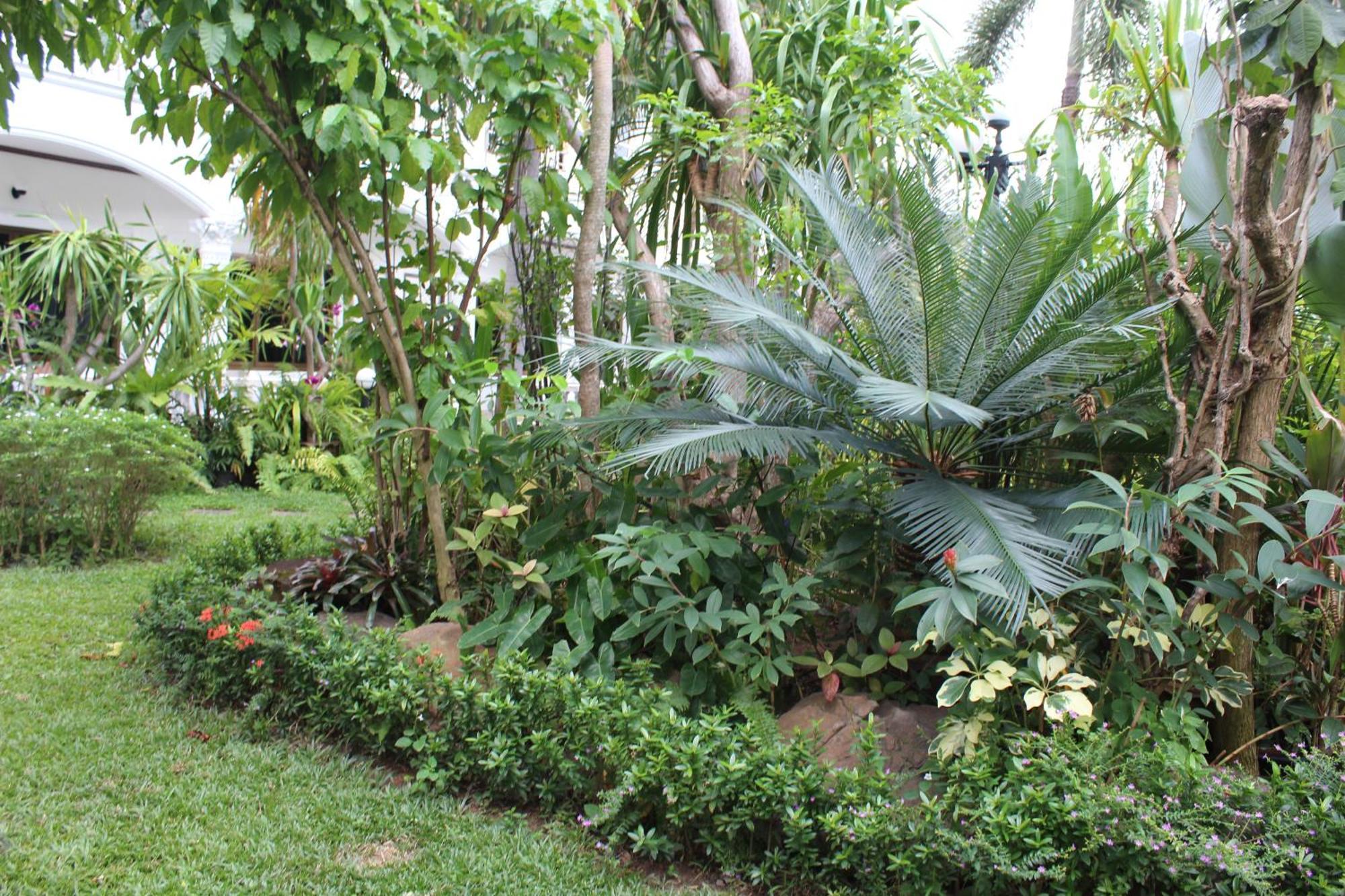 White Elephant Resort Surin Exteriör bild