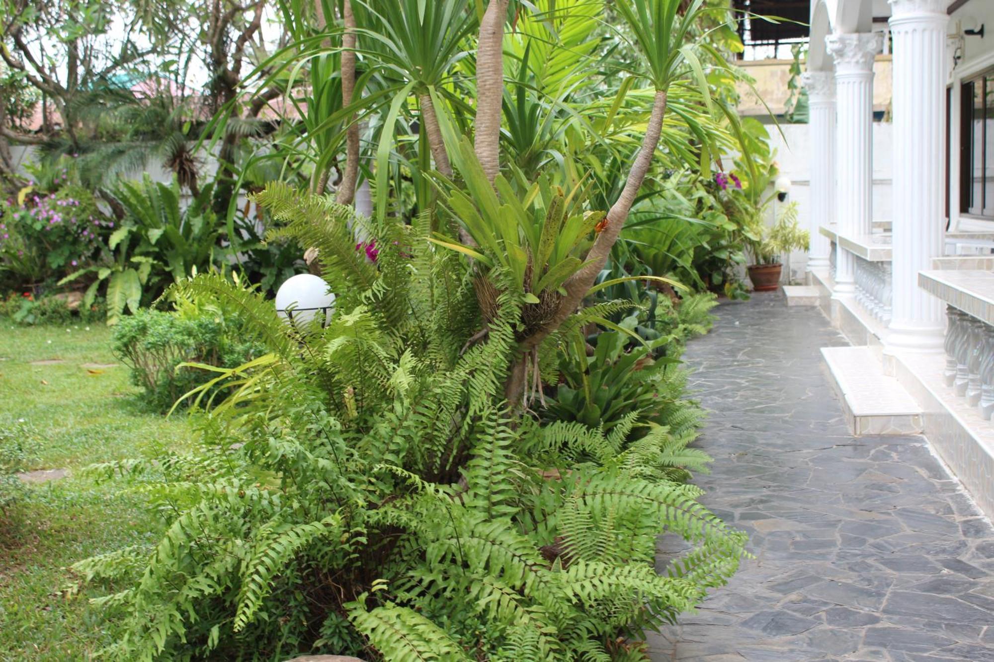 White Elephant Resort Surin Exteriör bild